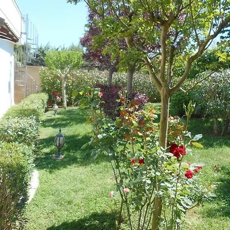 Palmisani Fasano